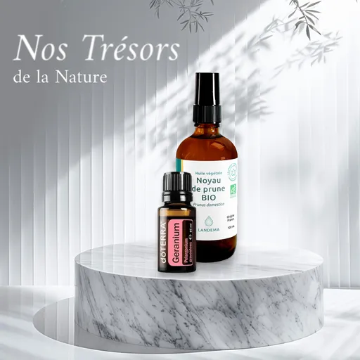 Kit trésors de la nature